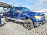 2010 Ford F-150 фото