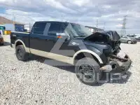 2010 Ford F-150 photo