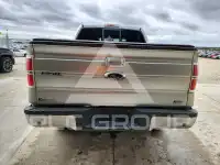 2010 Ford F-150 photo