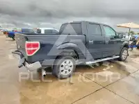 2010 Ford F-150 фото
