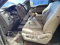 2010 Ford F-150 photo