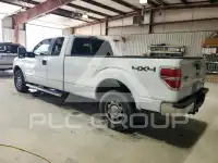 2010 Ford F-150 photo