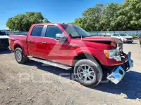 2010 Ford F-150 фото