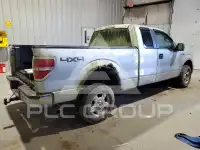 2010 Ford F-150 photo