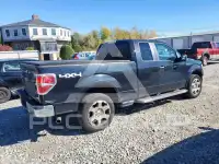 2010 Ford F-150 фото