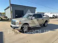 2010 Ford F-150 photo