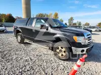 2010 Ford F-150 photo