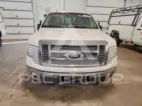 2010 Ford F-150 фото