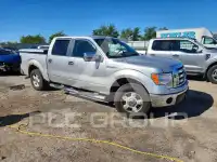 2010 Ford F-150 фото