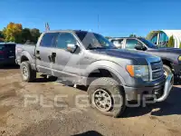 2010 Ford F-150 фото
