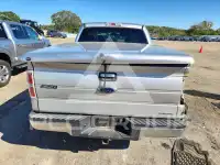 2010 Ford F-150 фото