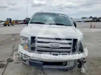 2010 Ford F-150 фото