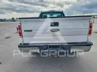 2010 Ford F-150 photo