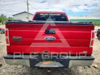 2010 Ford F-150 фото