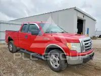 2010 Ford F-150 photo