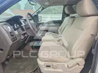 2010 Ford F-150 фото
