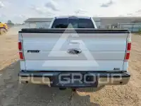 2010 Ford F-150 photo