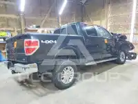 2010 Ford F-150 photo