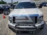2010 Ford F-150 photo