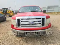 2010 Ford F-150 фото