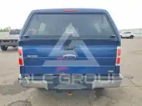 2010 Ford F-150 фото