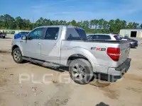 2010 Ford F-150 photo