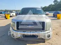 2010 Ford F-150 photo