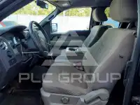 2010 Ford F-150 фото