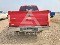 2010 Ford F-150 фото