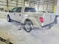 2010 Ford F-150 photo