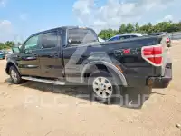 2010 Ford F-150 photo