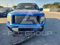 2010 Ford F-150 photo