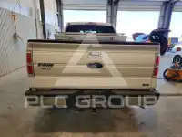 2010 Ford F-150 photo