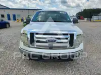 2010 Ford F-150 photo