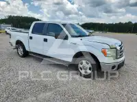 2010 Ford F-150 photo
