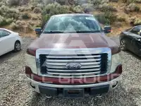 2010 Ford F-150 фото