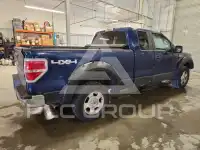 2010 Ford F-150 photo