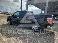 2010 Ford F-150 фото