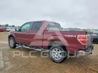 2010 Ford F-150 photo