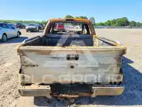 2010 Ford F-150 photo