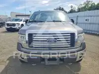 2010 Ford F-150 фото