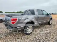 2010 Ford F-150 photo