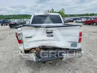 2010 Ford F-150 photo