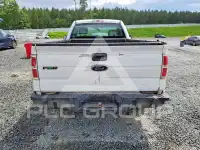 2010 Ford F-150 photo