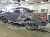 2010 Ford F-150 фото