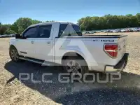 2010 Ford F-150 photo
