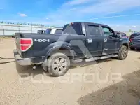 2010 Ford F-150 фото