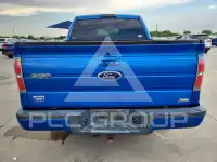 2010 Ford F-150 photo