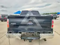 2010 Ford F-150 photo
