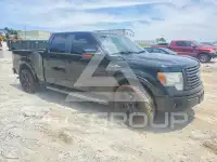 2010 Ford F-150 фото